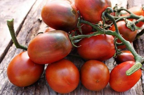 Когда сажать Де Барао. Сорта томатов Де Барао – характеристики, урожайность, фото и отзывы