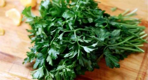 Замороженная петрушка польза и вред. Польза и вред петрушки 06