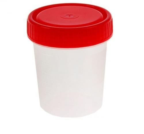 Как вырастить матку муравья. Лайфхак для мирмикипера #1: Как когда и где поймать муравьиную матку (королеву)?