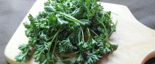 Как хранить петрушку. Хранение в холодильнике и морозилке 02