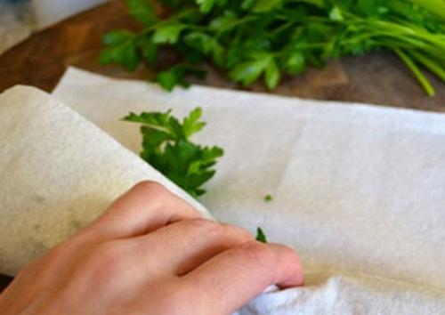 Как хранить укроп. 5 способов, как сохранить укроп свежим и ароматным