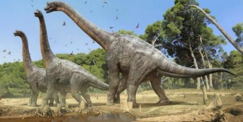 Как распространяются тараканы. 13 фактов о тараканах, знание которых упростит вашу борьбу с ними