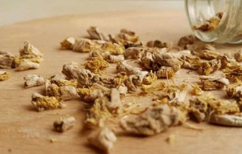 Как хранить топинамбур. Как сохранить топинамбур свежим на всю зиму в домашних условиях