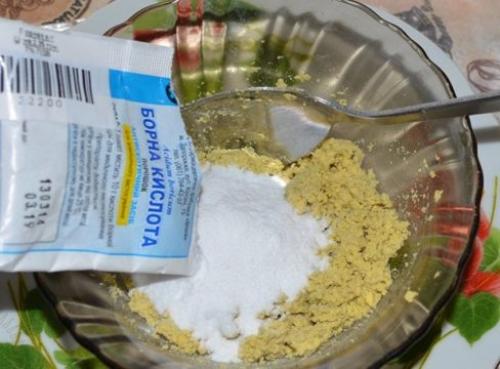 Как избавиться от тараканов в квартире навсегда народными средствами. Народные средства против прусаков