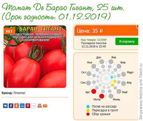 Томат Де Барао оранжевый. Де Барао оранжевый, или Золотые яйца в моей коллекции томатов