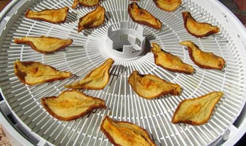 Груши на зиму. Способы заготовки груши на зиму: советы, рекомендации, рецепты