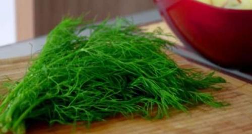 Петрушка листовая хранение. Сохранить петрушку и другую зелень на зиму свежей – просто