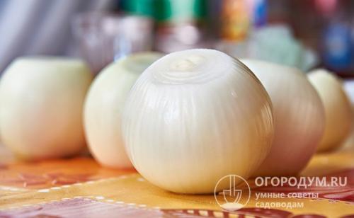 При какой температуре хранить репчатый лук. Способы и места хранения