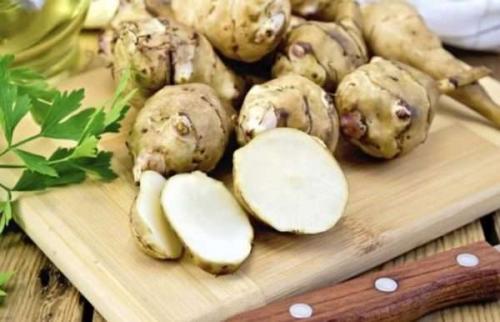 Как хранить топинамбур. Как сохранить топинамбур свежим на всю зиму в домашних условиях