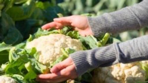 Как хранить цветную капусту на балконе. Основные правила