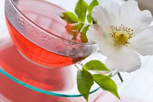 При какой температуре сушить шиповник в духовке. Оптимальные условия сушки и хранения шиповника 07