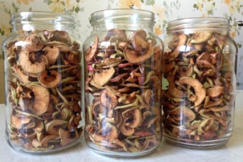 Как сушить яблоки на компот в домашних условиях. Как правильно сушить яблоки для компота в домашних условиях