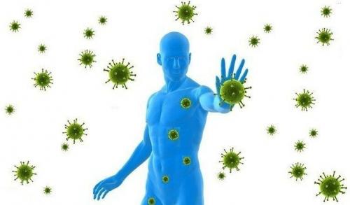 Как принимать чеснок утром натощак. что будет, если каждый день пить стакан чесночной воды