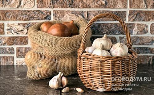 При какой температуре хранить репчатый лук. Способы и места хранения