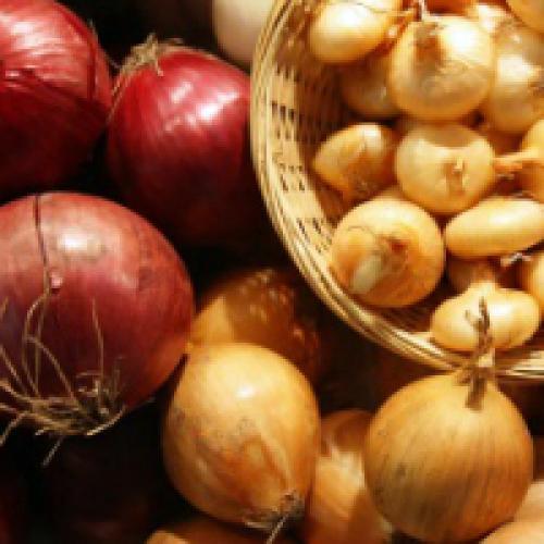 Какую температуру выдерживает лук при хранении. Как хранить лук зимой