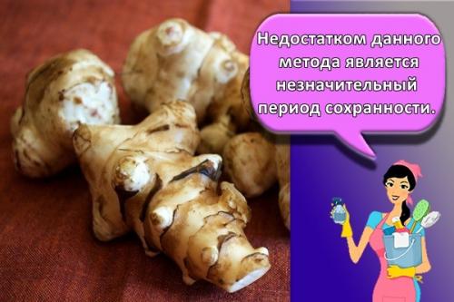 Когда выкапывать топинамбур на зиму. Как зимой хранить топинамбур в домашних условиях, правила и лучшие способы