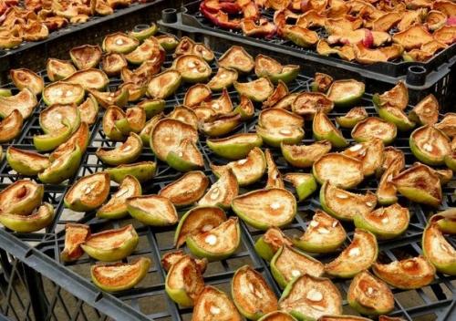 Дикая груша сушка. Сушка груш в домашних условиях