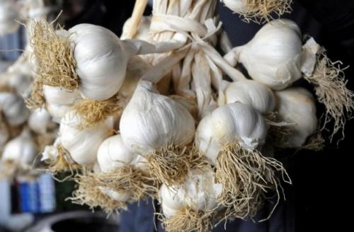 Где лучше хранить чеснок. А вы правильно подготовили чеснок к хранению?
