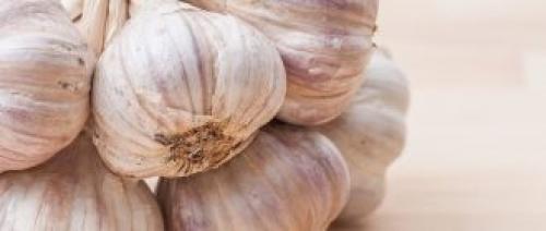 Можно ли заморозить топинамбур. Как хранить топинамбур зимой в домашних условиях