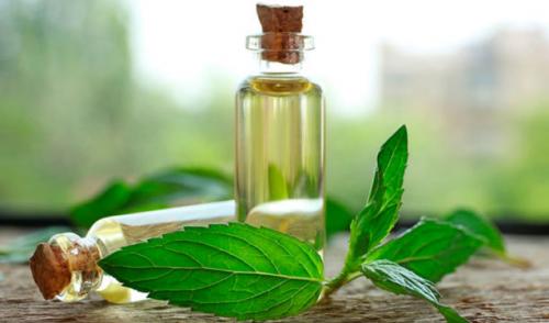 Как избавиться от тараканов в квартире навсегда народными средствами. Народные средства против прусаков