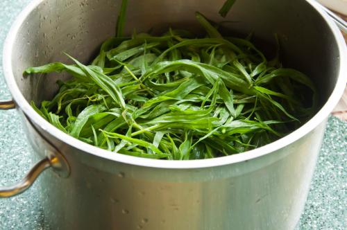 Тархун применение в медицине. Эстрагон (Тархун) трава: полезные свойства и противопоказания