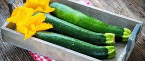 Как хранить топинамбур. Как сохранить топинамбур свежим на всю зиму в домашних условиях