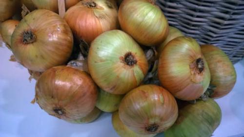 Хранение лука-севка зимой. Как правильно хранить лук-севок в домашних условиях 05