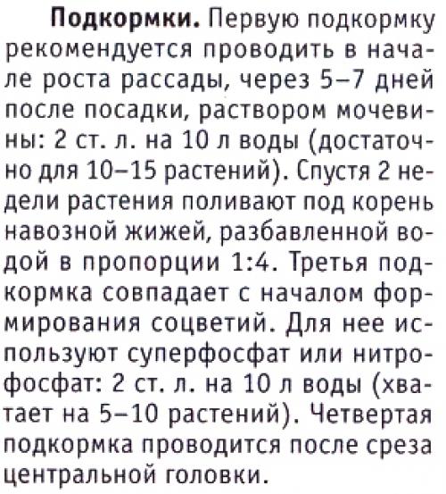 Почему не растет брокколи. Брокколи цветет: почему?