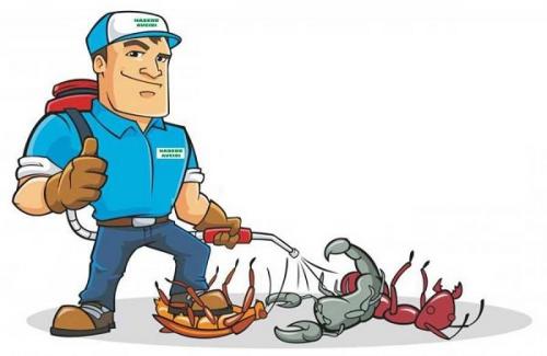 Как появляются тараканы в квартире. Как уничтожить тараканов?