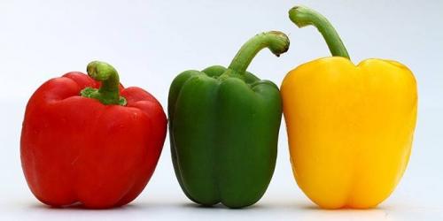 Заморозка сладкого болгарского перца на зиму. Как выбрать болгарский перец для заготовки на зиму