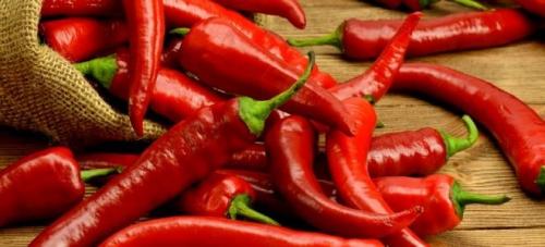 Как сохранить горький перец. Как приготовить горький перец на зиму в домашних условиях?