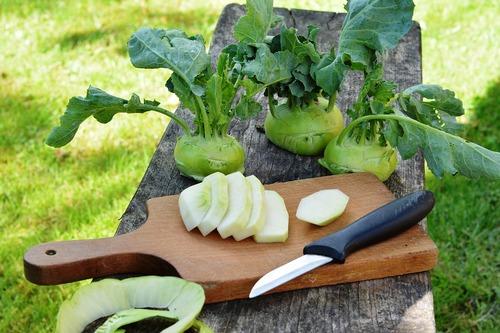 Как хранить капусту кольраби. Как сохранить стеблеплоды?