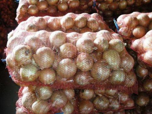 Хранение лука-севка зимой. Как правильно хранить лук-севок в домашних условиях 09