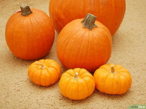 Как хранить тыкву. Способы хранения тыквы зимой