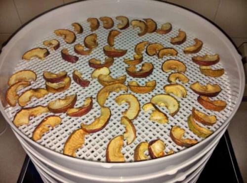 Как хранить сушеные яблоки в домашних условиях в квартире. Как правильно хранить сушеные яблоки в домашних условиях?