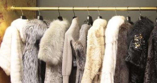 Моль в квартире, как избавиться от нее и откуда появляется. Откуда появляется моль платяная?