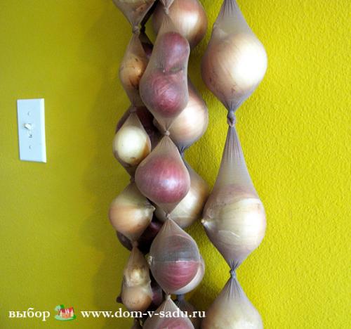 Как обрезать лук для хранения на зиму. Как сохранить репчатый лук на зиму?