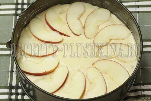 Как обрезать свеклу для хранения на зиму. Хранение свеклы, основные правила 05 Как обрезать свеклу для хранения на зиму. Хранение свеклы, основные правила 05