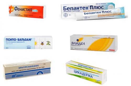 В каких магазинах продаются средства от клопов. Что можно купить в аптеке для борьбы с клопами и для лечения укусов