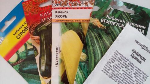 Долгохранящиеся кабачки. Какие сорта кабачков подходят для длительного хранения