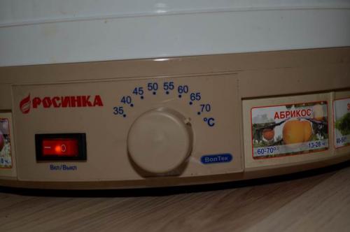 Как сделать из яблок пастилу дома. Пастила из яблок в домашних условиях – простой рецепт в электросушилке для фруктов