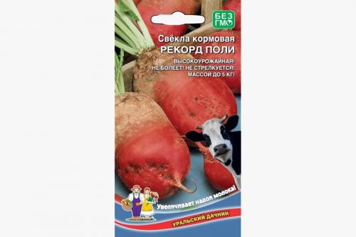 Свёкла кормовая. Выращивание кормовой свеклы для животных