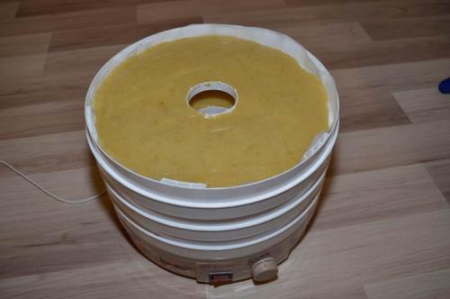 Как сделать из яблок пастилу дома. Пастила из яблок в домашних условиях – простой рецепт в электросушилке для фруктов