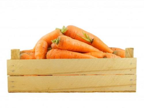 Как сохранить морковь зимой в погребе. Методы хранения