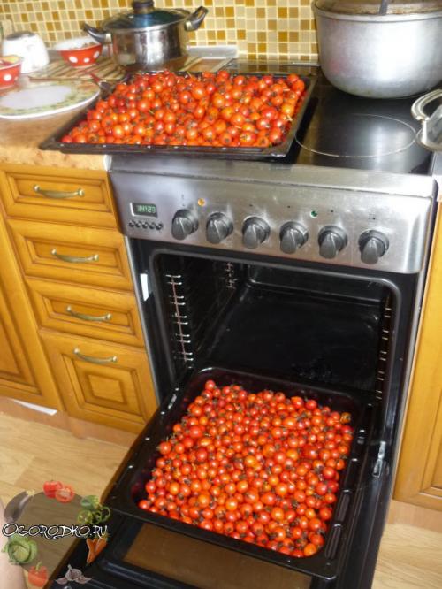 Сушка шиповника в электрической духовке. Как сушить шиповник в духовке электрической?