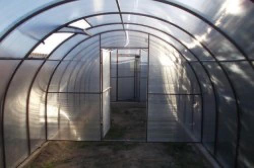 Можно ли в одной теплице выращивать огурцы и помидоры. Можно ли сажать огурец и помидор в одной теплице 05 Можно ли в одной теплице выращивать огурцы и помидоры. Можно ли сажать огурец и помидор в одной теплице 05