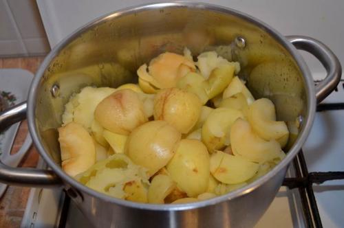 Как сделать из яблок пастилу дома. Пастила из яблок в домашних условиях – простой рецепт в электросушилке для фруктов