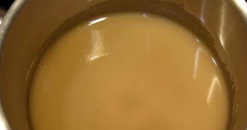 Как сделать из яблок пастилу. Рецепт пастилы из яблочного пюре с агар агаром в домашних условиях