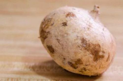 Кормовая свекла эккендорфская желтая. «Эккендорфская желтая» 01 Кормовая свекла эккендорфская желтая. «Эккендорфская желтая» 01