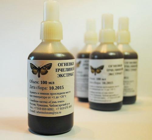 Восковая моль применение в медицине. Восковая моль (пчелиная огневка) и пчелы